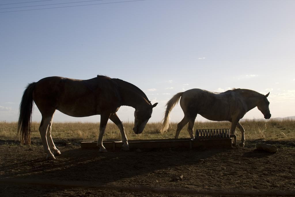 Estancia Ave Maria (Adults Only) Tandil Buitenkant foto
